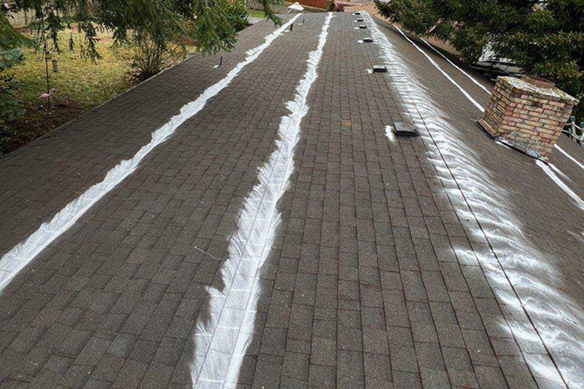 Roof Cleaning