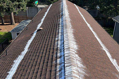 Roof Cleaning